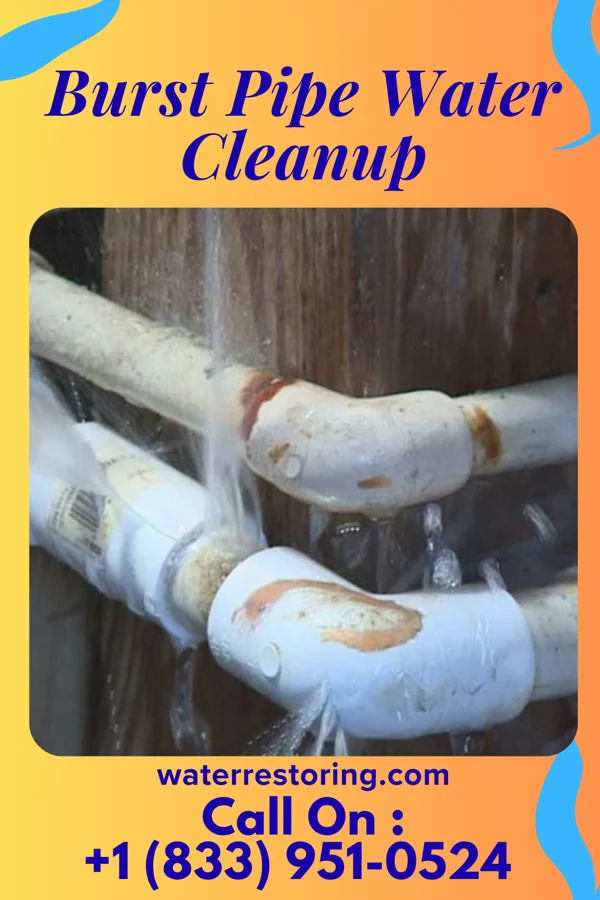 Burst Pipe Water Cleanup in McAdenville, NC