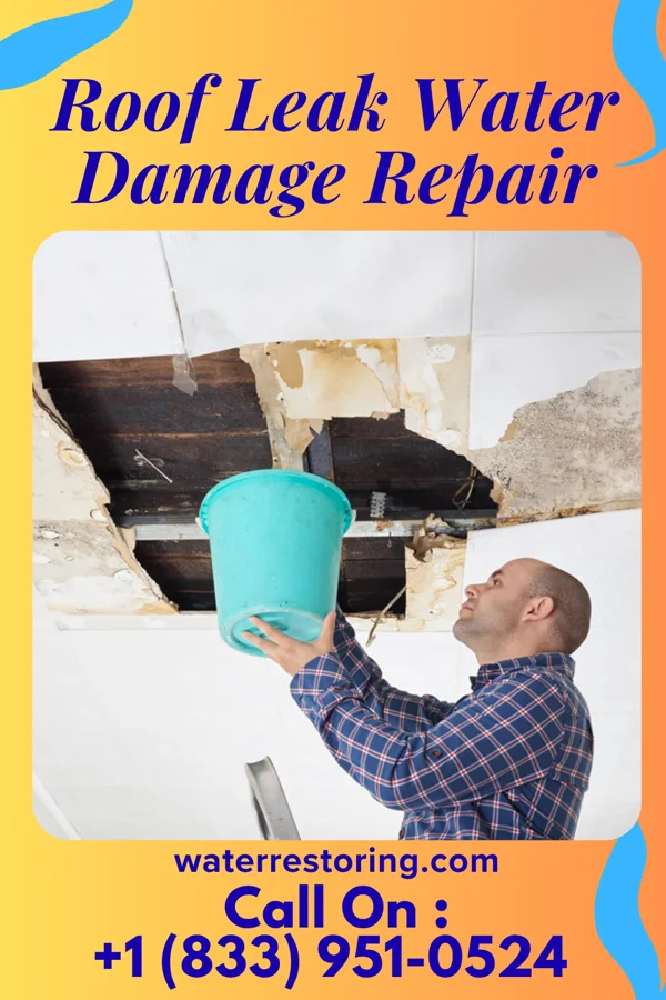 Roof Leak Water Damage Repair in McAdenville, NC