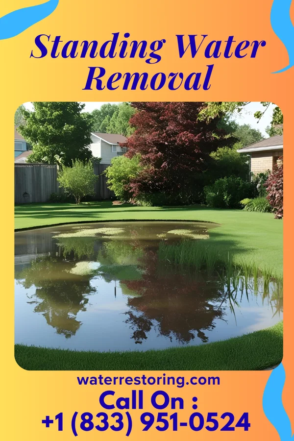 Standing Water Removal in McAdenville, NC